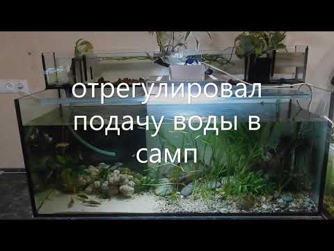 Видео: Самп. Чудесатый и не предсказуемый.