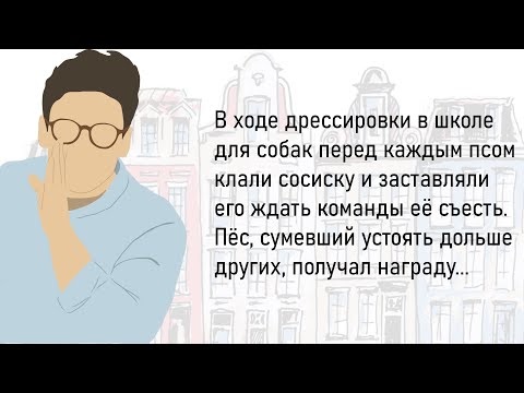 Видео: 🏠Большой Сборник Смешных Жизненных Историй,Для Супер Настроения На Весь День!