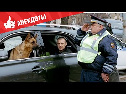 Видео: Анекдоты - Выпуск 94