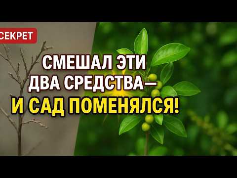 Видео: Смешал Мочевину и Купорос — Не Ожидал Такого Эффекта!