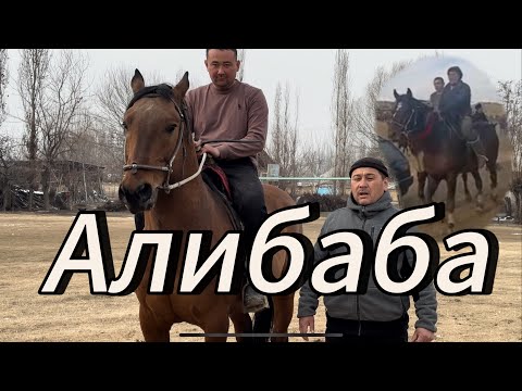 Видео: Эдил Акеден Атактуу Алибабанан баласы сатылат