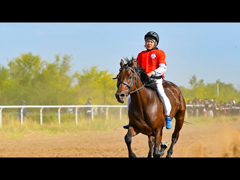 Видео: 🏇 Мөңке би Тілеуұлының 350 жылдығына арналған бәйге өтті 🏇
