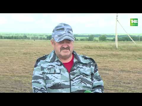 Видео: Туган җир 05/08/2022