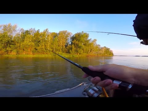 Видео: Ловля щуки и судака на джиг / Весенняя рыбалка на спиннинг