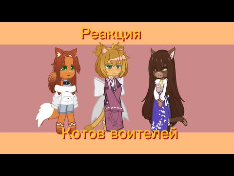 Видео: Реакция котов воителей на видео // 3/??