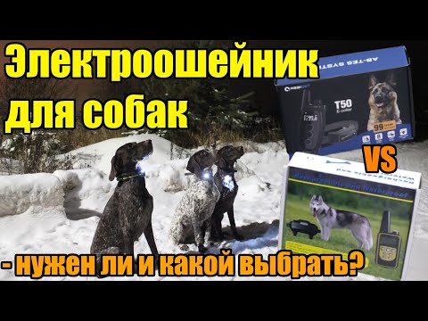 Видео: Нужен ли электронный ошейник для собак? Какой ошейник выбрать в 2024?