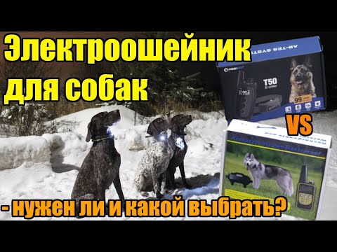 Видео: Нужен ли электронный ошейник для собак? Какой ошейник выбрать в 2024?