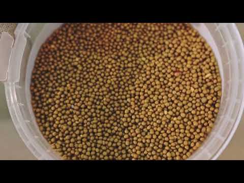 Видео: "Fertika" Удобрение для газона