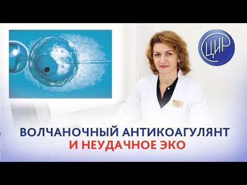 Видео: Волчаноный антикоагулянт, бесплодие, неудачное ЭКО. Дементьева С.Н.