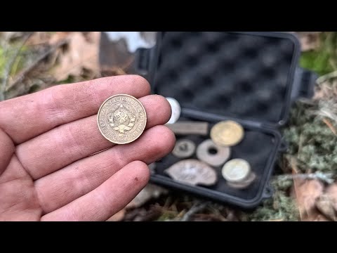 Видео: ЛЕСНОЙ КОП КАК ВСЕГДА РАДУЕТ! РАССЫПУХА МОНЕТ НА ЛЕСНОЙ ПОЛЯНЕ И ТД! 