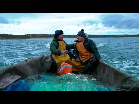 Видео: Печора, река бескрайних просторов | Изьватас олэм