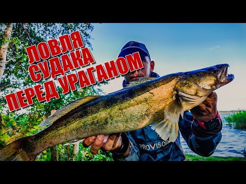 Видео: Рыбалка в шторм с грозой | Ловля судака на сломе погоды | Пробил лодку | Первый тест CF Arion 832MHT