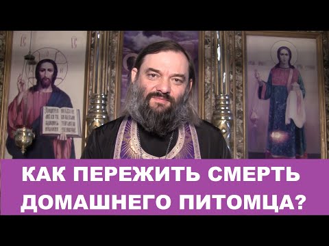 Видео: Как пережить смерть домашнего питомца? Священник Валерий Сосковец