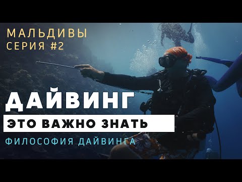 Видео: Дайвинг на Мальдивах с Георгием Румянцевым. Серия 2. Уходим в глубину Индийского океана 2025
