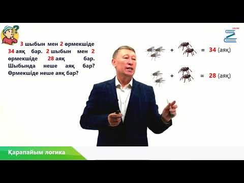 Видео: Өрмекші мен шыбын есебі
