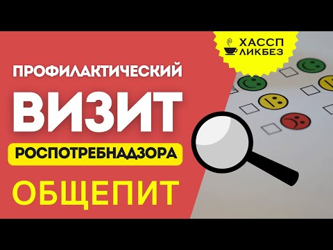 Видео: Профилактический визит Роспотребнадзора | Общепит |  ФЗ-248 | фрагмент конференции