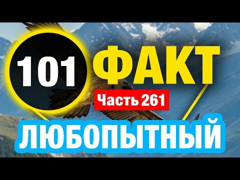 Видео: 101 Невиданный Факт Который Вас Удивит