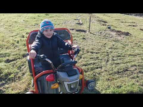 Видео: Забрали мураху...