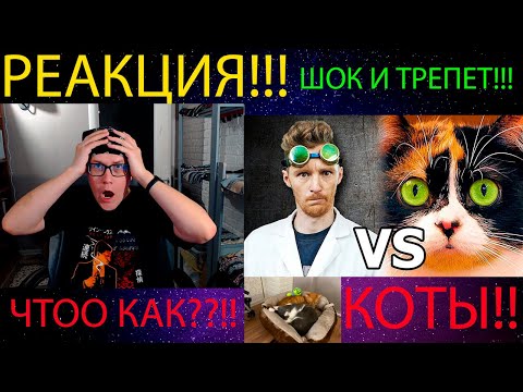 Видео: СЛИВКИ ШОУ? ПРОВЕРИМ!(полная версия) | РЕАКЦИЯ НА @doctordiy