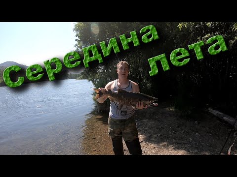 Видео: Выезд на вечёрку, река Паратунка. Голец, кета, жара и хорошее настроение.