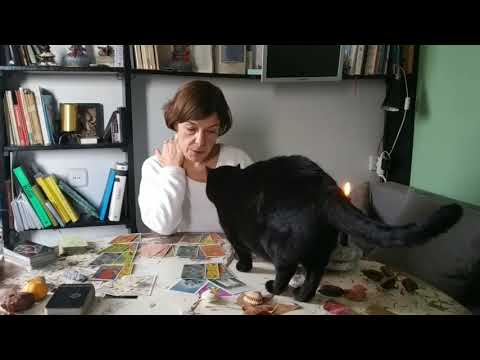 Видео: 🔥  ДАМА И ДВА ЕЕ КОРОЛЯ. Гадание таро онлайн