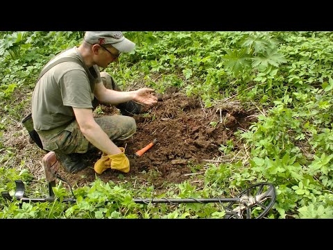Видео: Поиск в лесном урочище / 2 часть #522