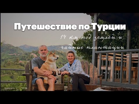 Видео: От рассвета в горах до ночёвки среди чайных плантаций #travel #путешествиенамашине #travelwithdog 