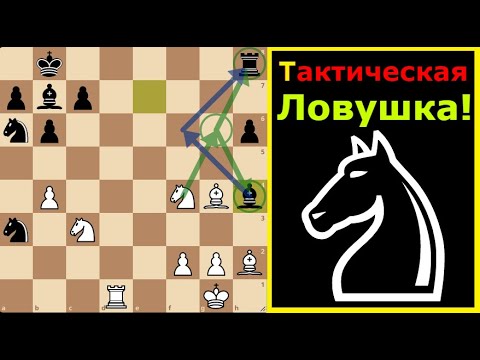 Видео: 💥 Тактическая ловушка в защите Хорвица! ♟️