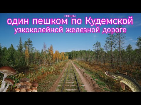 Видео: ПОХОДЫ: пешком по Кудемской узкоколейной железной дороге. Один в осенней тайге