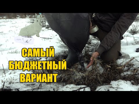 Видео: КАК ЗАЩИТИТЬ МОЛОДЫЕ ДЕРЕВЬЯ ЗИМОЙ ОТ ЗАЙЦЕВ