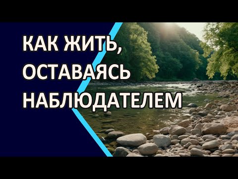 Видео: КАК ЖИТЬ, ОСТАВАЯСЬ НАБЛЮДАТЕЛЕМ