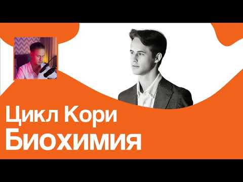 Видео: ЦИКЛ КОРИ за 6 МИНУТ // На Биохимическом