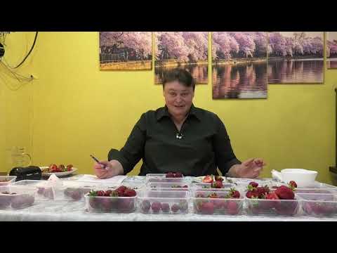 Видео: Серия 4 Замер сахара в ранних сортах клубники с 28 по 98 номер.