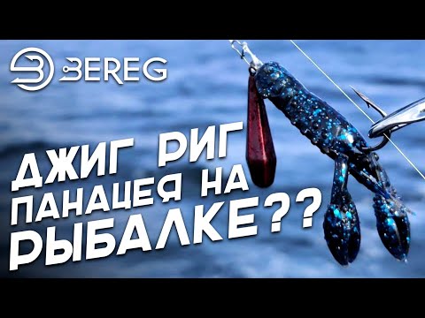Видео: ДЖИГ РИГ панацея на рыбалке?? Техника ловли на JIG RIG