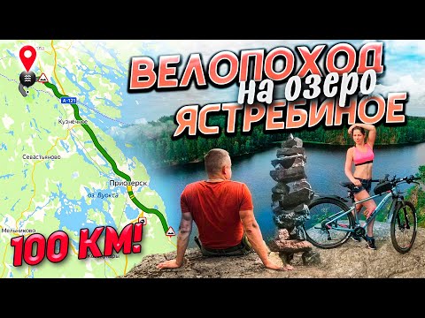 Видео: 100 км на велосипеде // Что нас мотивирует // Нежданное путешествие