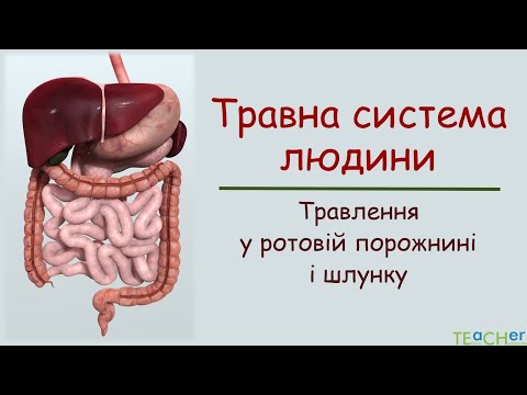 Видео: Травна система людини. Травлення у ротовій порожнині і шлунку