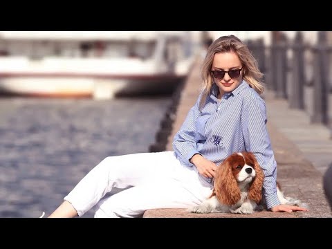 Видео: Что такое Кавалер Кинг Чарльз Спаниель? // честный обзор на породу