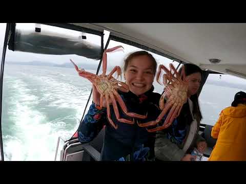 Видео: Морская прогулка на Камчатке