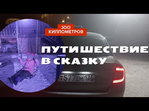 Видео: Едем по М-4 на Шкода Рапид в Липецкую область | 600км пути | Путешествие в сказку