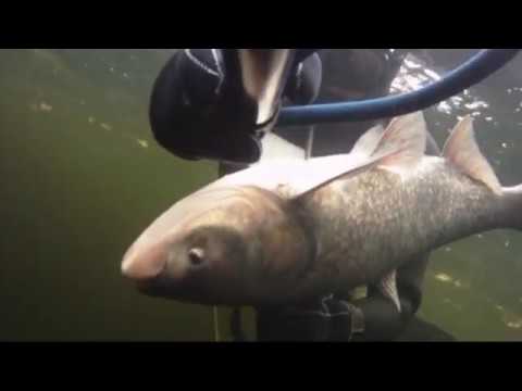 Видео: январь в Волгограде