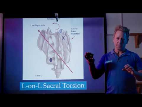 Видео: Движения позвоночника и таза – Законы спинальной механики Фрайетта