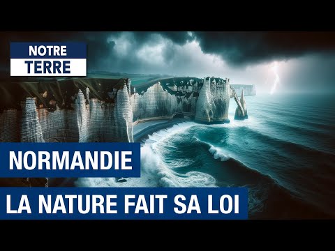 Видео: Риск затопления Нормандии: ставки высоки