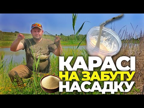 Видео: ЛОВЛЮ КАРАСЯ на ЗАБУТУ НАСАДКУ! РИБАЛКА на КАРАСЯ на БОВТУШКУ.