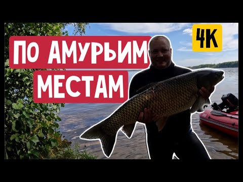 Видео: Подводная охота по местам белого амура. Первая в этом сезоне.