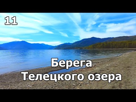 Видео: Идём вдоль берега Телецкого озера до горной реки. Влог 11