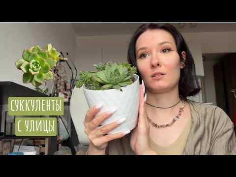 Видео: покупки из секонда / теплые деньки 