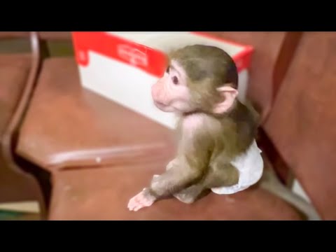 Видео: Сейчас 6.00 утра и мы собираемся С ЛЮСЕЙ в БОЛЬНИЦУ!