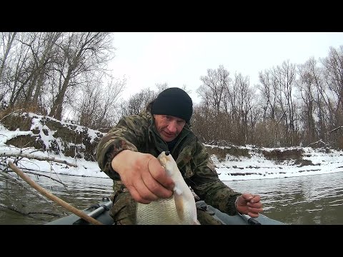 Видео: Почти как зимой, но с лодки! Хлыст-кивок выходит на охоту.Рыбалка на Оби в ноябре.