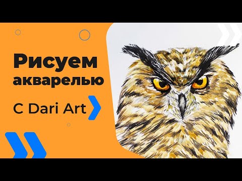 Видео: Для начинающих! Как нарисовать сову акварелью! #Dari_Art #рисоватьМОЖЕТкаждый