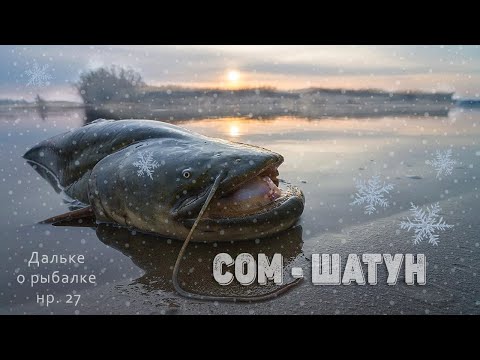 Видео: ЗИМНЯЯ РЫБАЛКА на СОМА / Как и где ловить сома зимой - Дальке о рыбалке #27